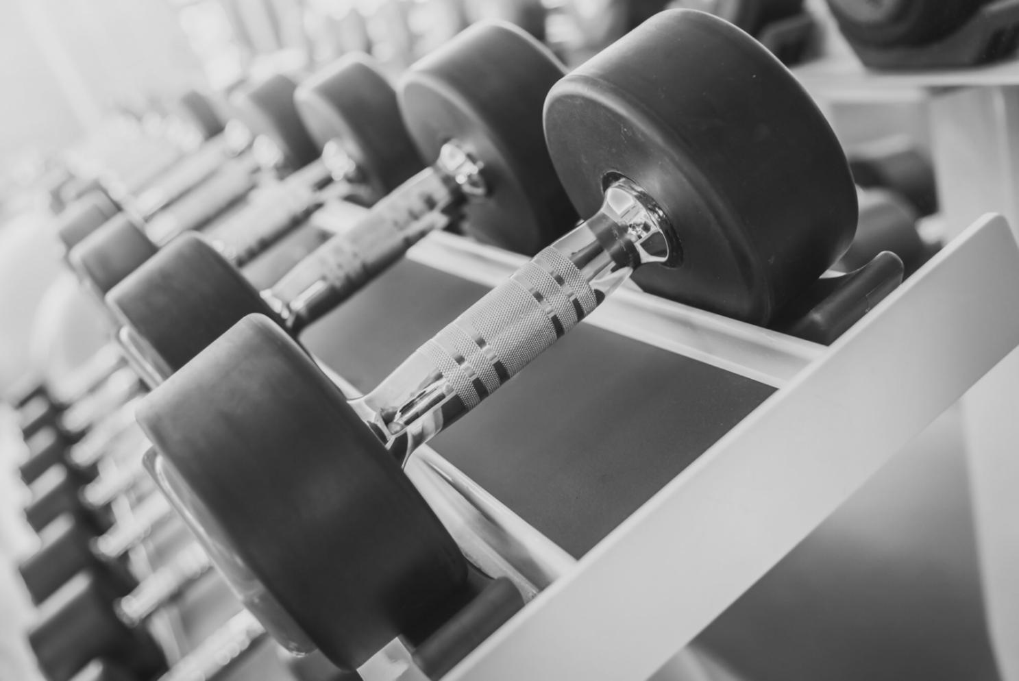 Diskusi program dengan instruktur